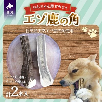 ふるさと納税 浦河町 エゾ鹿の角 Lサイズ1本と半割1本のセット[54-1534]