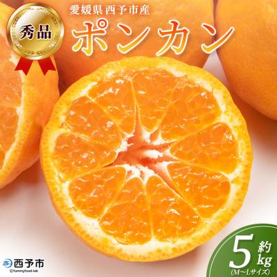 ふるさと納税 西予市 <秀品 ポンカン (M〜Lサイズ) 約5kg>蜜柑 ミカン みかん 果物 丸二青果