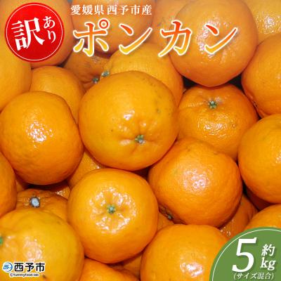 ふるさと納税 西予市 <訳あり ポンカン (サイズ混合) 約5kg丸二青果蜜柑 ミカン みかん 果物