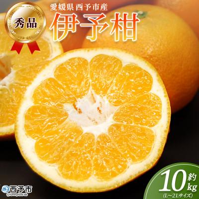ふるさと納税 西予市 <秀品 伊予柑 (L〜2Lサイズ) 約10kg>蜜柑 ミカン みかん 果物 丸二青果
