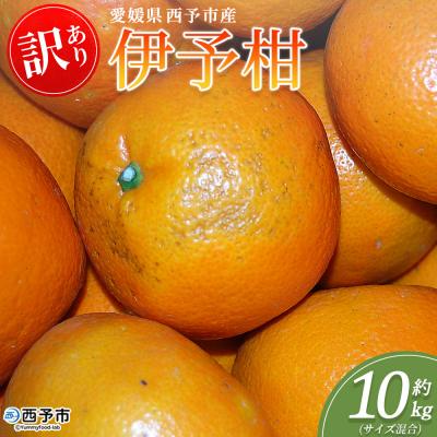 ふるさと納税 西予市 <訳あり 伊予柑 (サイズ混合) 約10kg>蜜柑 ミカン みかん 丸二青果