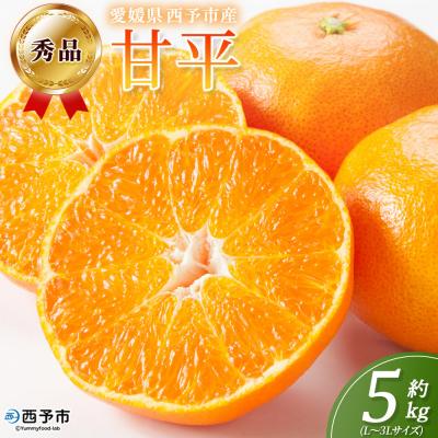 ふるさと納税 西予市 <秀品 甘平 (L〜3Lサイズ) 約5kg>蜜柑 ミカン みかん 果物 柑橘 かんぺい 丸二青果