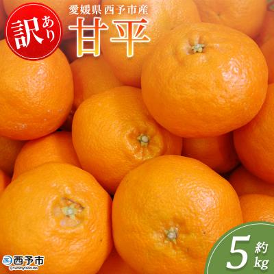 ふるさと納税 西予市 <訳あり 甘平 (サイズ混合) 約5kg>蜜柑 ミカン みかん 果物 丸二青果