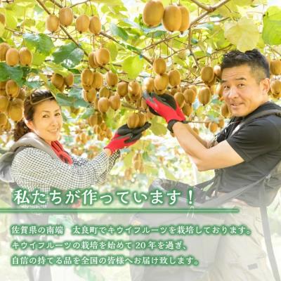 ふるさと納税 太良町 [体が喜ぶ]キウイフルーツ 30〜35個(約3.8kg) バラ詰め合わせ スタンドパック 6袋付き