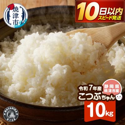 ふるさと納税 焼津市 令和7年産 おいしく節約 しあわせごはん お米の小粒ちゃん 10kg(a11-227)