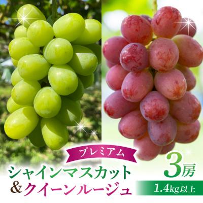 ふるさと納税 東御市 [先行受付2026年発送]シャインマスカット&amp;クイーンルージュ(R) プレミアム 3房