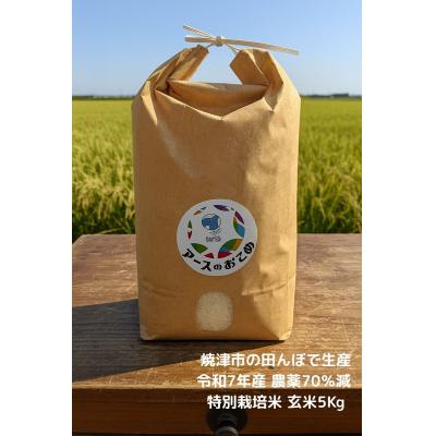 ふるさと納税 焼津市 令和7年産 アースのおこめ 栽培期間中農薬70%減 特別栽培米 玄米5Kg(a21-084)