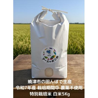 ふるさと納税 焼津市 令和7年産 アースのおこめ 栽培期間中 無農薬 特別栽培米 白米5Kg(a42-016)