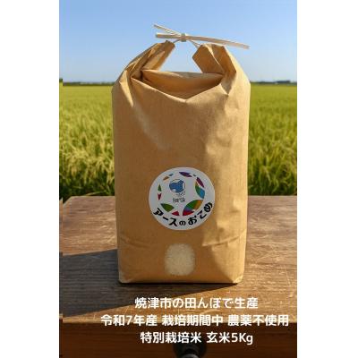 ふるさと納税 焼津市 令和7年産 アースのおこめ 栽培期間中 無農薬 特別栽培米 玄米5Kg(a42-017)