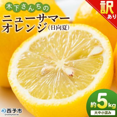 ふるさと納税 西予市 <木下さんちのニューサマーオレンジ 訳あり 約5kg> 訳アリ 柑橘 日向夏