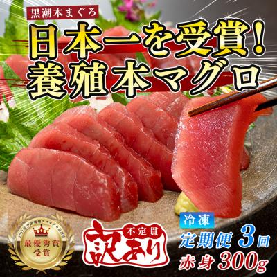 ふるさと納税 大月町 訳あり まぐろ マグロ 本鮪 黒潮本まぐろ 赤身 定期便 3回 300g × 3回 刺身
