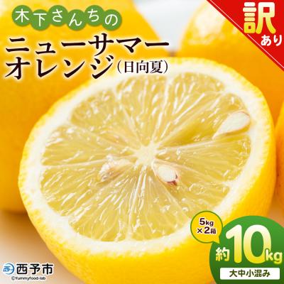 ふるさと納税 西予市 <木下さんちのニューサマーオレンジ 訳あり 約10kg(大中小サイズ混み)> 訳アリ 柑橘 日向夏