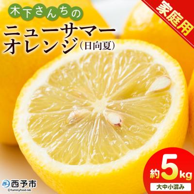 ふるさと納税 西予市 <木下さんちのニューサマーオレンジ 家庭用 約5kg>柑橘 日向夏フルーツ 国産
