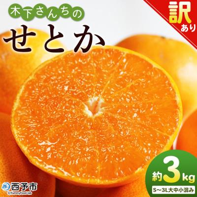 ふるさと納税 西予市 <木下さんちのせとか 訳あり 約3kg(S〜3L大中小混み) 木下農園 >