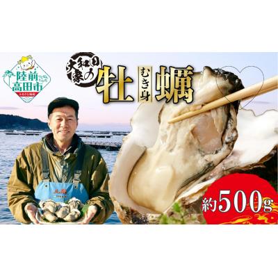 ふるさと納税 陸前高田市 三陸産 むき身牡蠣 約500g 加熱用 大和田家のかき カキ 濃厚 料理 冷蔵 ギフト 鍋