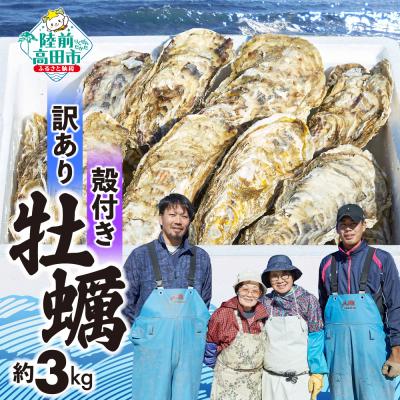 ふるさと納税 陸前高田市 三陸産 訳あり 殻付き牡蠣 約3kg 生食可 牡蠣 かき カキ 大和水産