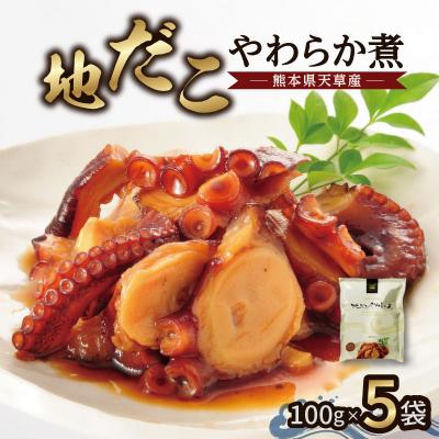 ふるさと納税 天草市 地だこやわらか煮