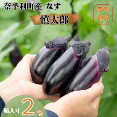 ふるさと納税 奈半利町 奈半利町の茄子 [慎太郎]2kg 131001