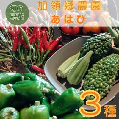 ふるさと納税 奈半利町 露地栽培にこだわった季節の野菜ボックス 130001