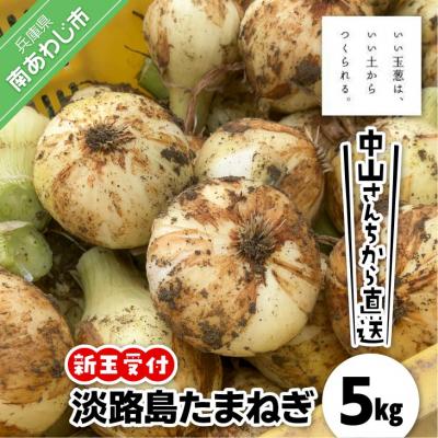 ふるさと納税 南あわじ市 ＼新玉受付/ 中山さんちから直送 淡路島たまねぎ5kg◆R8.3月下旬〜発送