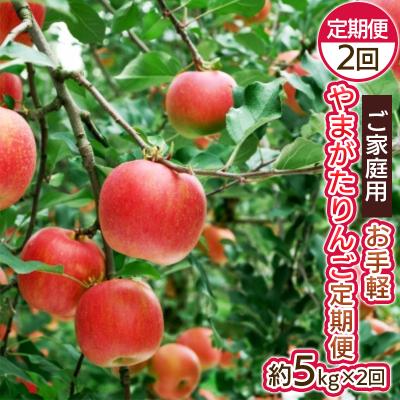 ふるさと納税 山形市 [定期便2回]お手軽 ご家庭用 やまがたりんご定期便[令和8年産先行予約]FS25-794