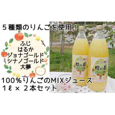 ふるさと納税 陸前高田市 5種類のりんご MIXジュース 1L×2本セット 煌め希りんご園 りんご ジュース 果汁100%