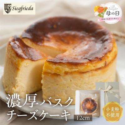 ふるさと納税 下呂市 [遅れてごめんね母の日(2026年5月11日〜15日お届け)]バスクチーズケーキ[32-4mo]