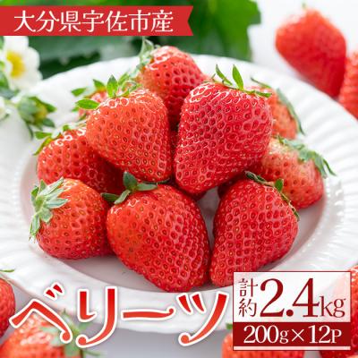 ふるさと納税 宇佐市 ベリーツ いちご 2.4kg 大容量[117900300][Farm U.S.A.]