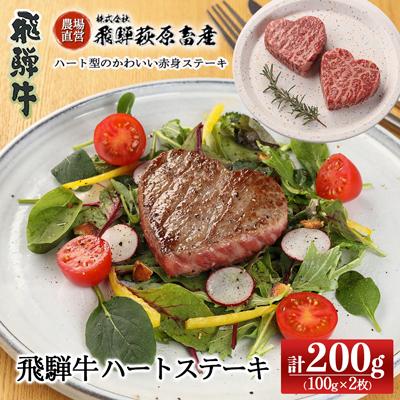 ふるさと納税 下呂市 [遅れてごめんね母の日(2026年5月11日〜15日お届け)]ハートステーキ[22-35mo]