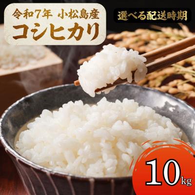 ふるさと納税 小松島市 [配送時期が選べる]米 コシヒカリ 10kg 小松島市 令和7年産 精米 白米