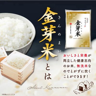 ふるさと納税 美郷町 令和7年産 金芽米 サキホコレ 5kg|01_tyr-010501 |  | 03
