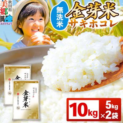 ふるさと納税 美郷町 令和7年産 金芽米 サキホコレ 10kg(5kg×2袋)|01_tyr-011001 | 