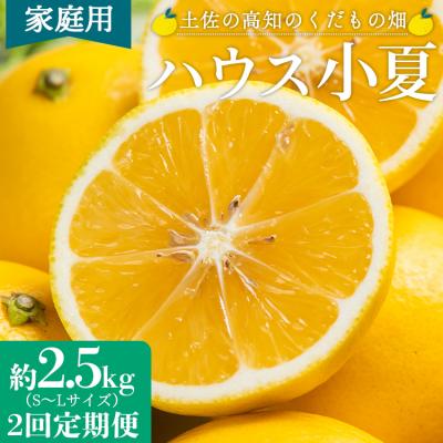 ふるさと納税 香南市 [2回定期便]ハウス小夏 2.5kg(家庭用) Wkd-0033
