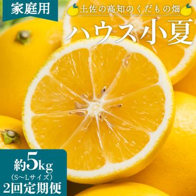 ふるさと納税 香南市 [2回定期便]土佐の高知のくだもの畑 ハウス小夏5kg(家庭用) Wkd-0034