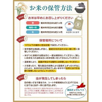 ふるさと納税 大江町 《2ヶ月定期便》山形県産 無洗米 令和7年産 はえぬき 胚芽精米 10kg×2ヶ月 036-T26_1