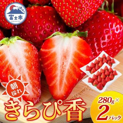 ふるさと納税 富士市 富士市産 いちご きらぴ香 約280g×2P 計約560g [sf123-003]