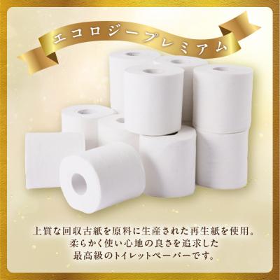 ふるさと納税 富士市 【配送2個口】エコロジープレミアム ダブル トイレットペーパー 192ロール [sf002-543]_1