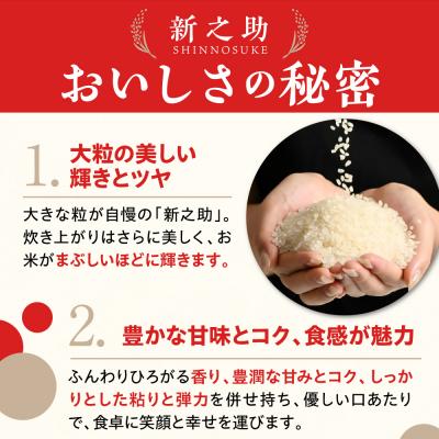 ふるさと納税 妙高市 新潟県上越妙高産 新之助 20kg【順次発送】の画像