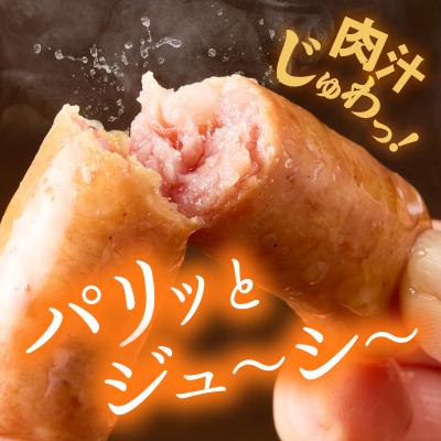 ふるさと納税 小牧市 <工場直送>あらびきポークウインナー 大満足パック 2kg　[210Y02] |  | 02