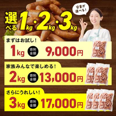 ふるさと納税 小牧市 <工場直送>あらびきポークウインナー 大満足パック 2kg　[210Y02] |  | 03