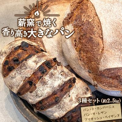 ふるさと納税 境町 [薪窯焼き]香り高い大きなパン 3種セット (カンパーニュ・レザン・ブリオッシュ) ハード系パン