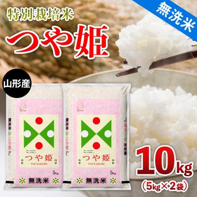 ふるさと納税 山形市 山形産 特別栽培米 [無洗米]つや姫 10kg(5kg×2) FY25-482