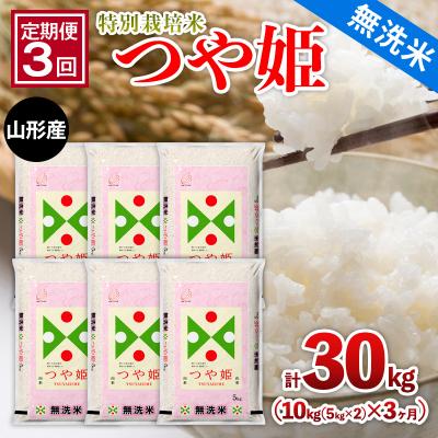 ふるさと納税 山形市 [定期便3回]山形産 特別栽培米[無洗米]つや姫 10kg(5kg×2)x3ヶ月 FY25-480