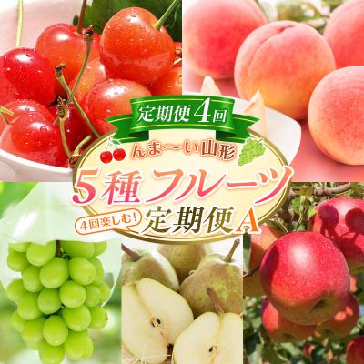 ふるさと納税 山形市 [定期便4回]☆んま〜い山形☆5種フルーツ!4回楽しむ!定期便A FY25-473