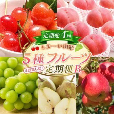 ふるさと納税 山形市 [定期便4回]☆んま〜い山形☆5種フルーツ!4回楽しむ!定期便B FY25-476
