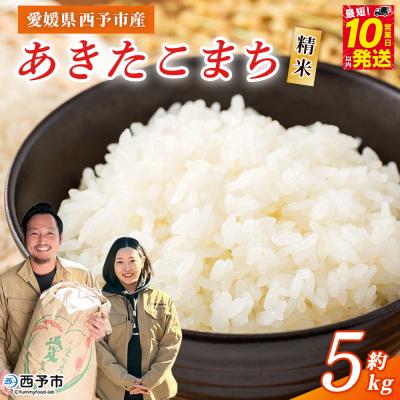 ふるさと納税 西予市 <令和7年産 西予市あきたこまち 精米 約5kgお米 米 コメ宇都宮米穀