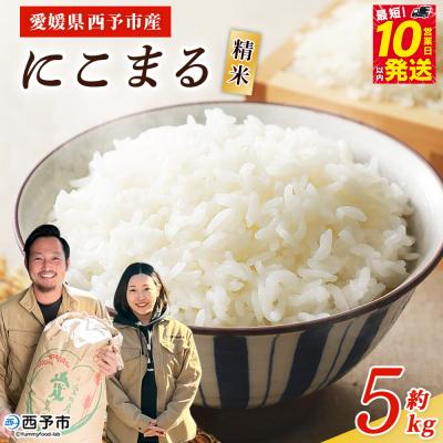 ふるさと納税 西予市 <令和7年産 西予市産 にこまる 精米 約5kg宇都宮米穀 ニコマル お米 米