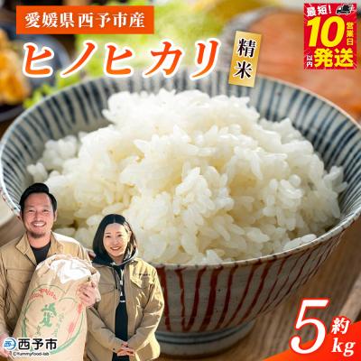 ふるさと納税 西予市 <令和7年産 西予市産 ヒノヒカリ 精米 約5kgひのひかり お米 宇都宮米穀
