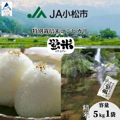 ふるさと納税 小松市 [先行予約] 令和8年産 「 特別栽培米コシヒカリ 」 精米 蛍米 5kg