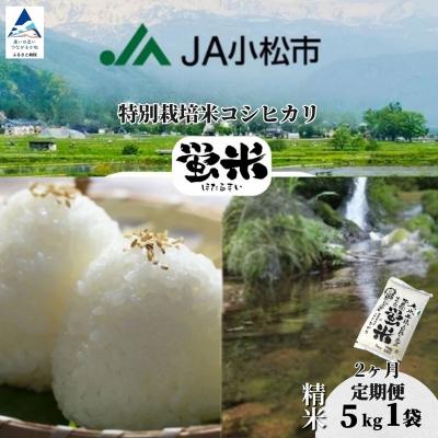 ふるさと納税 小松市 [先行予約][定期便] 令和8年産 「 特別栽培米コシヒカリ 」 精米 蛍米 5kg×2ヶ月(毎月